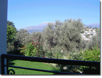 Dimitris Apartments in Kamilari S�d-Kreta